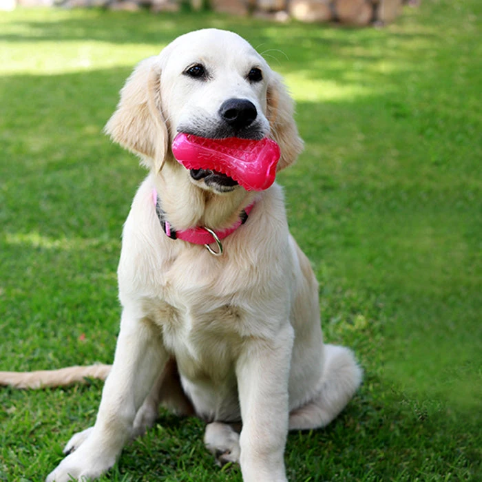 Rogz Yumz 3 Rogz Yumz - Image 3