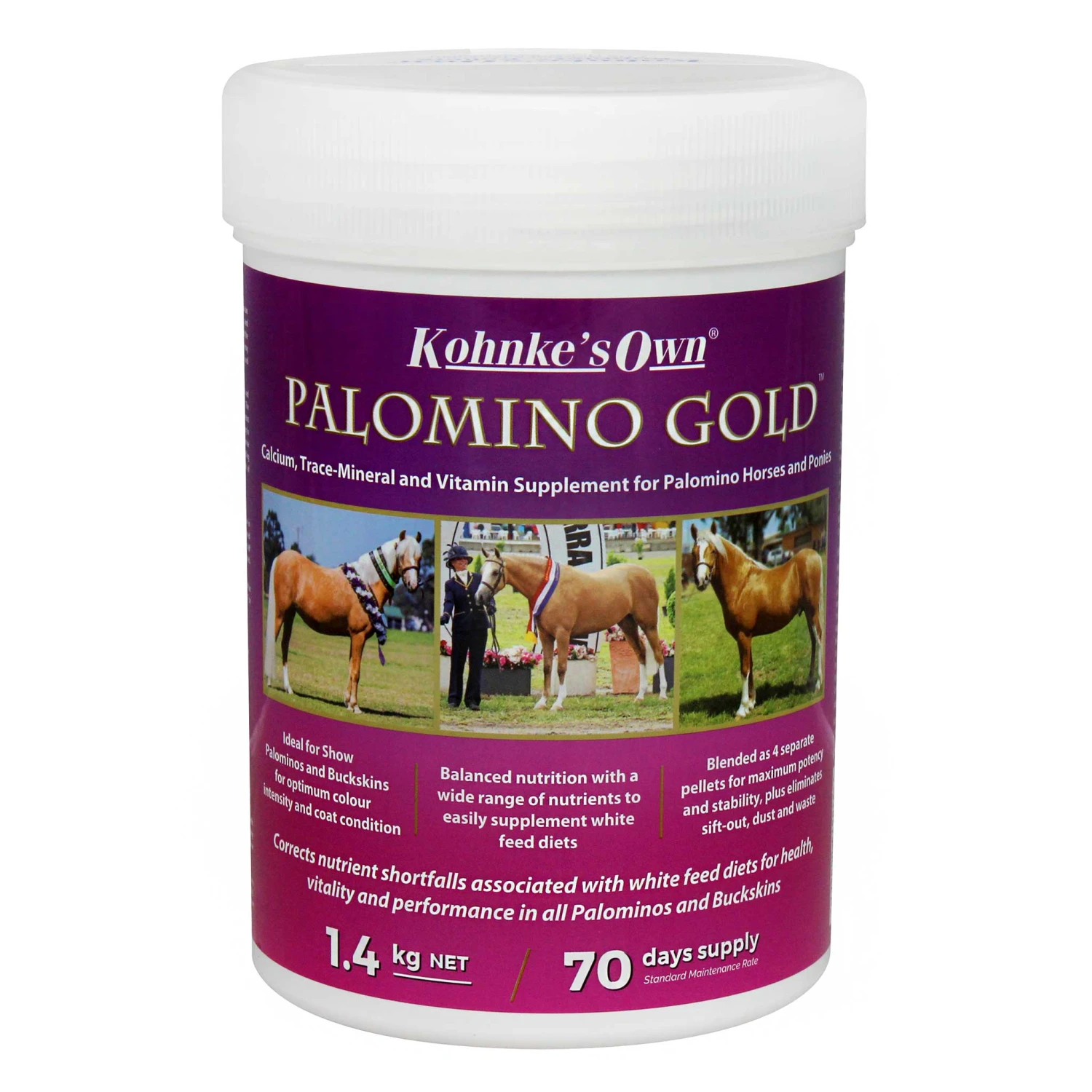 Kohnke's Own Palomino Gold 3 Kohnke's Own Palomino Gold - Image 3
