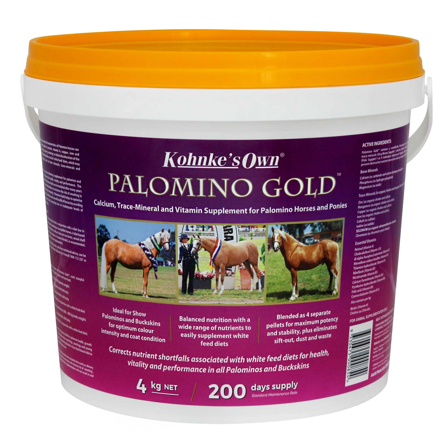 Kohnke's Own Palomino Gold 2 Kohnke's Own Palomino Gold - Image 2