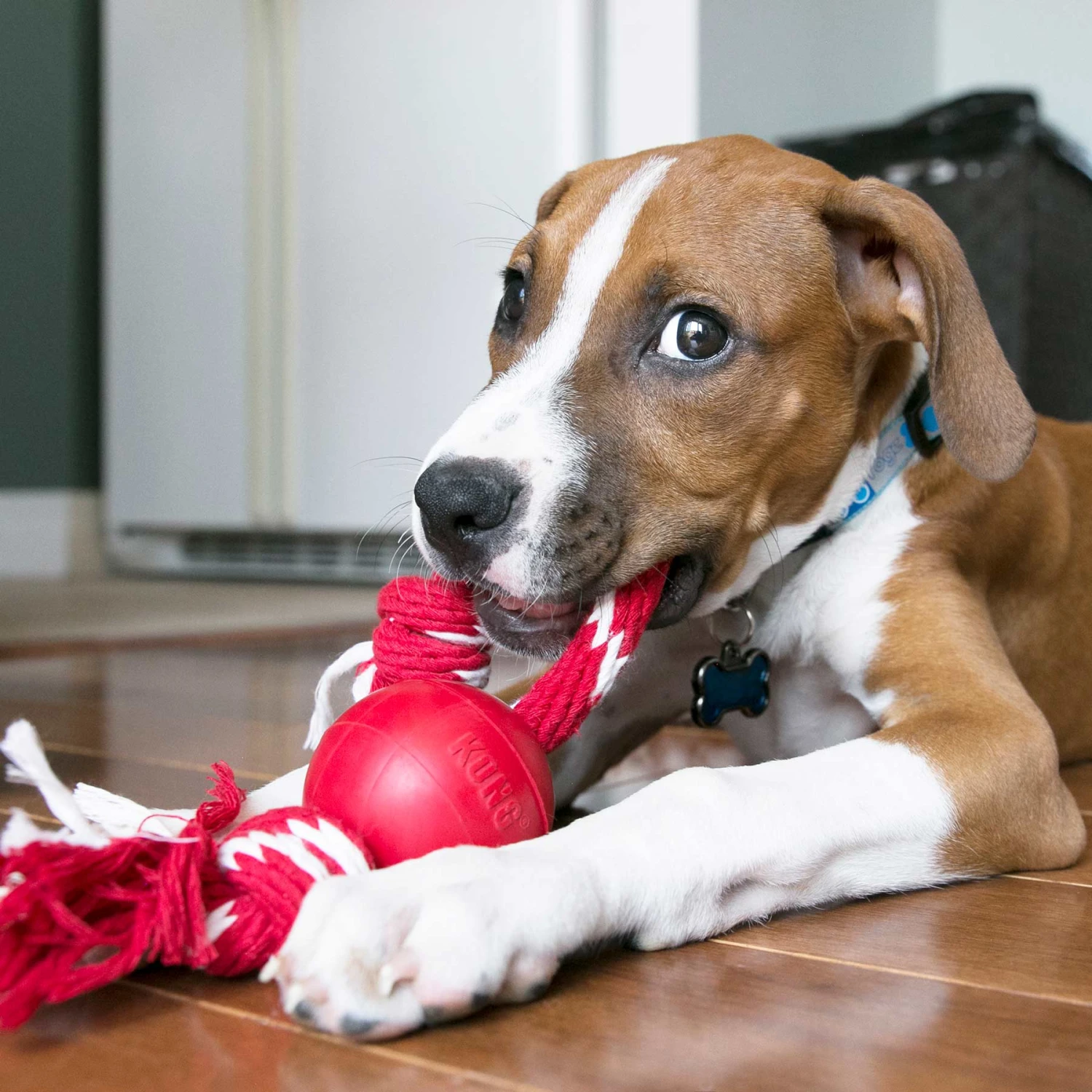 KONG Small Ball With Rope 3 KONG Small Ball With Rope - Image 3