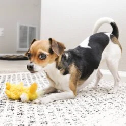 KONG Plush Dr Noyz Duck Small -Vetn Pet Direct Store 1012182