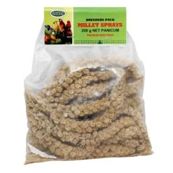 Millet Sprays - Panicum