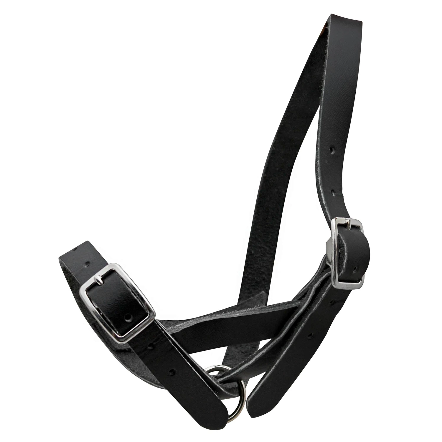 Leather Calf Tie Out Tethering Halter 1 Leather Calf Tie Out Tethering Halter