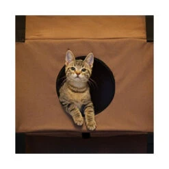 Hangin' Feline Funhouse 5 Hangin' Feline Funhouse -Vetn Pet Direct Store 1019110