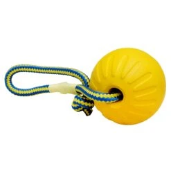 Starmark Swing 'n Fling Durafoam Fetch Ball
