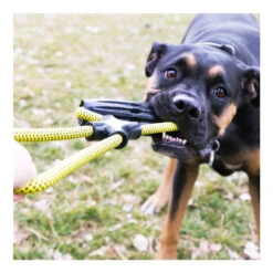 KONG Jaxx Infinity Tug - Large 5 KONG Jaxx Infinity Tug - Large -Vetn Pet Direct Store 1023886