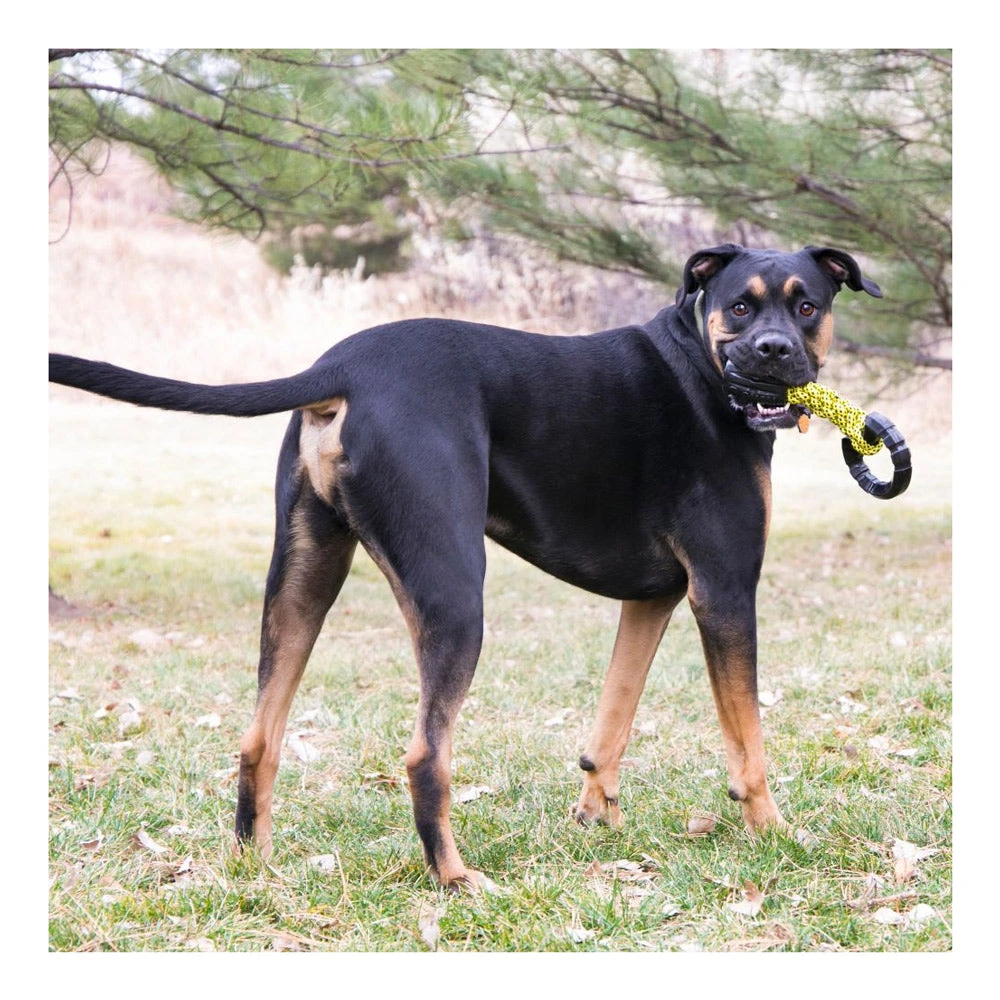 KONG Jaxx Braided Tug - Large 3 KONG Jaxx Braided Tug - Large - Image 3