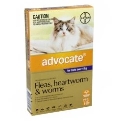 ADVOCATE For Large Cats Over4kg 5 ADVOCATE For Large Cats Over4kg -Vetn Pet Direct Store 1029390