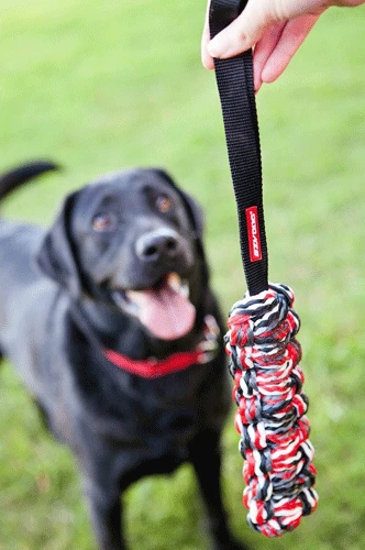 EzyDog Beaver Tail Toss & Fetch Toy 2 EzyDog Beaver Tail Toss & Fetch Toy - Image 2