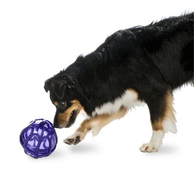 Busy Buddy Kibble Nibble 5 Busy Buddy Kibble Nibble - Image 5