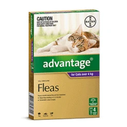 Advantage For Cats Over 4kg 7 Advantage For Cats Over 4kg -Vetn Pet Direct Store 138151