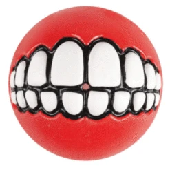 ROGZ Grinz Ball -Vetn Pet Direct Store 180297