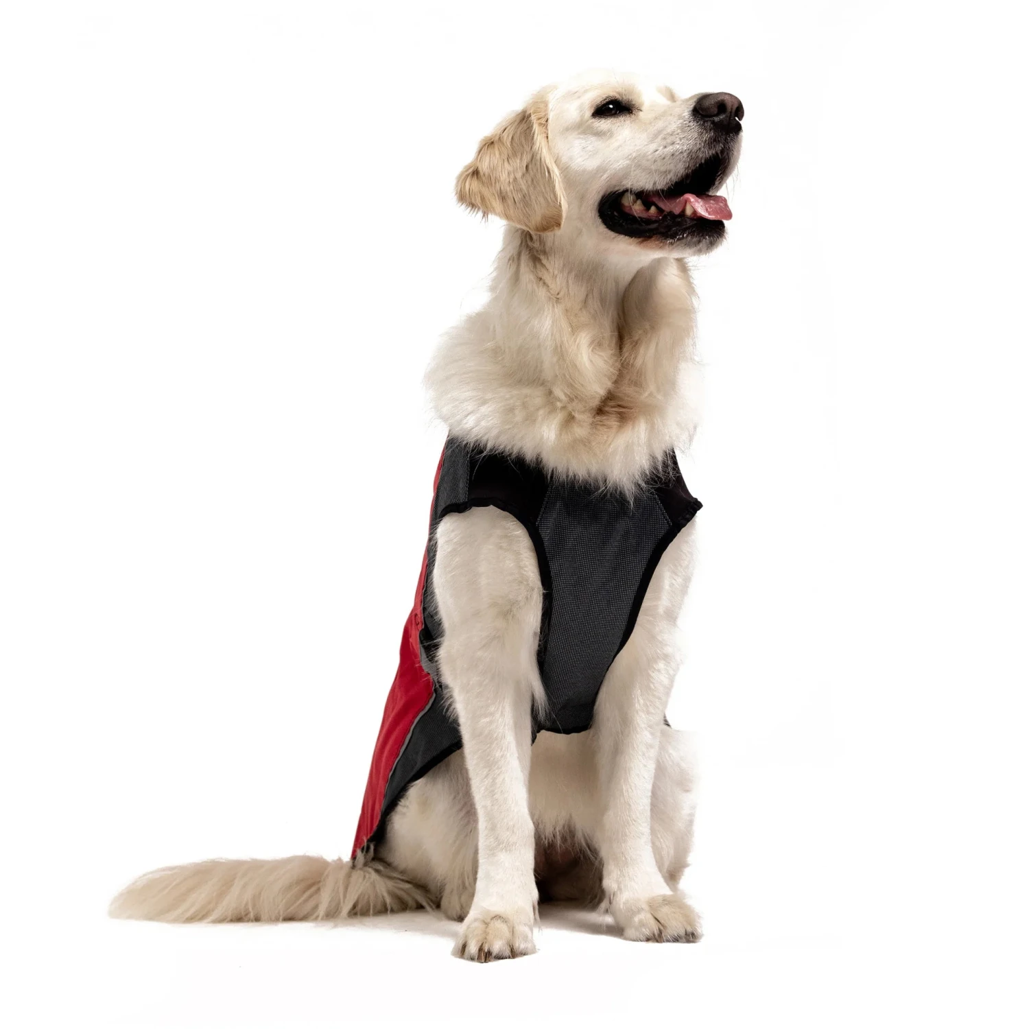 EzyDog Element Jacket 5 EzyDog Element Jacket - Image 5