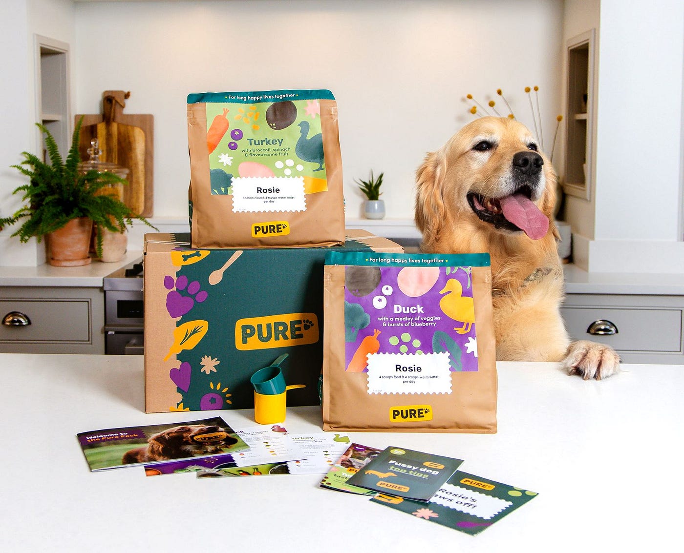 Vetn Pet Direct Store -Vetn Pet Direct Store