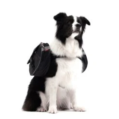 EzyDog Convert Dog Saddle Bags -Vetn Pet Direct Store 1 convertsaddlebags front