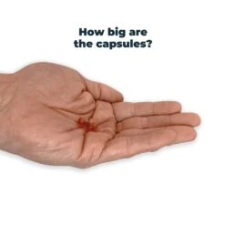 Antinol Plus For Dogs -Vetn Pet Direct Store 220221 VetzPetz UK Web ProductImage 2048x2048px Capsule Size 2 2048x 6037f4fb 499e 4aaf ba45 b1253a216e39