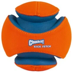 Chuckit! Kick Fetch