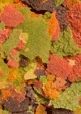 Ocean Nutrition Community Formula Flakes For Freshwater Fish 4 Ocean Nutrition Community Formula Flakes For Freshwater Fish - Image 4