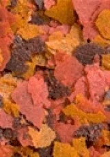 Ocean Nutrition Brine Shrimp Plus Flakes 3 Ocean Nutrition Brine Shrimp Plus Flakes - Image 3