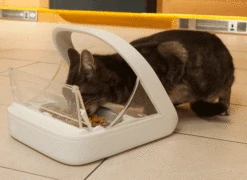 SureFeed Microchip Pet Feeder -Vetn Pet Direct Store 289040