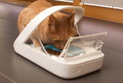 SureFeed Microchip Pet Feeder -Vetn Pet Direct Store 289042