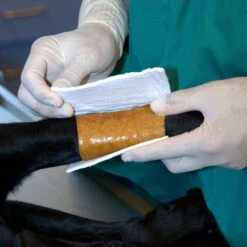 Kruuse ND Manuka Honey Non-Adherent Dressing -Vetn Pet Direct Store 289370b4849fd410758995d605aa28be