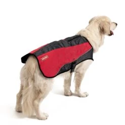 EzyDog Element Jacket