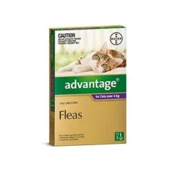 Advantage For Cats Over 4kg 8 Advantage For Cats Over 4kg -Vetn Pet Direct Store 320078