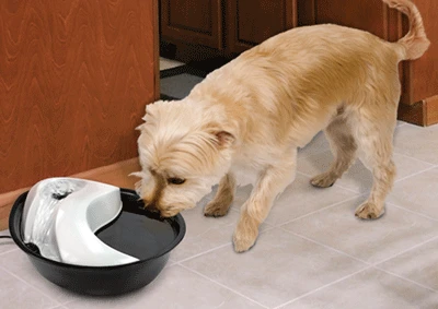 Pioneer Raindrop Plastic Drinking Fountain 4 Pioneer Raindrop Plastic Drinking Fountain - Image 4