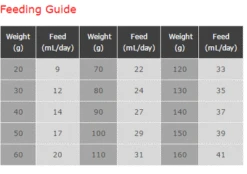 Wombaroo Guinea Pig Milk Replacer 190g 7 Wombaroo Guinea Pig Milk Replacer 190g -Vetn Pet Direct Store 396719