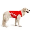 EzyDog Rashie Vest For Dogs