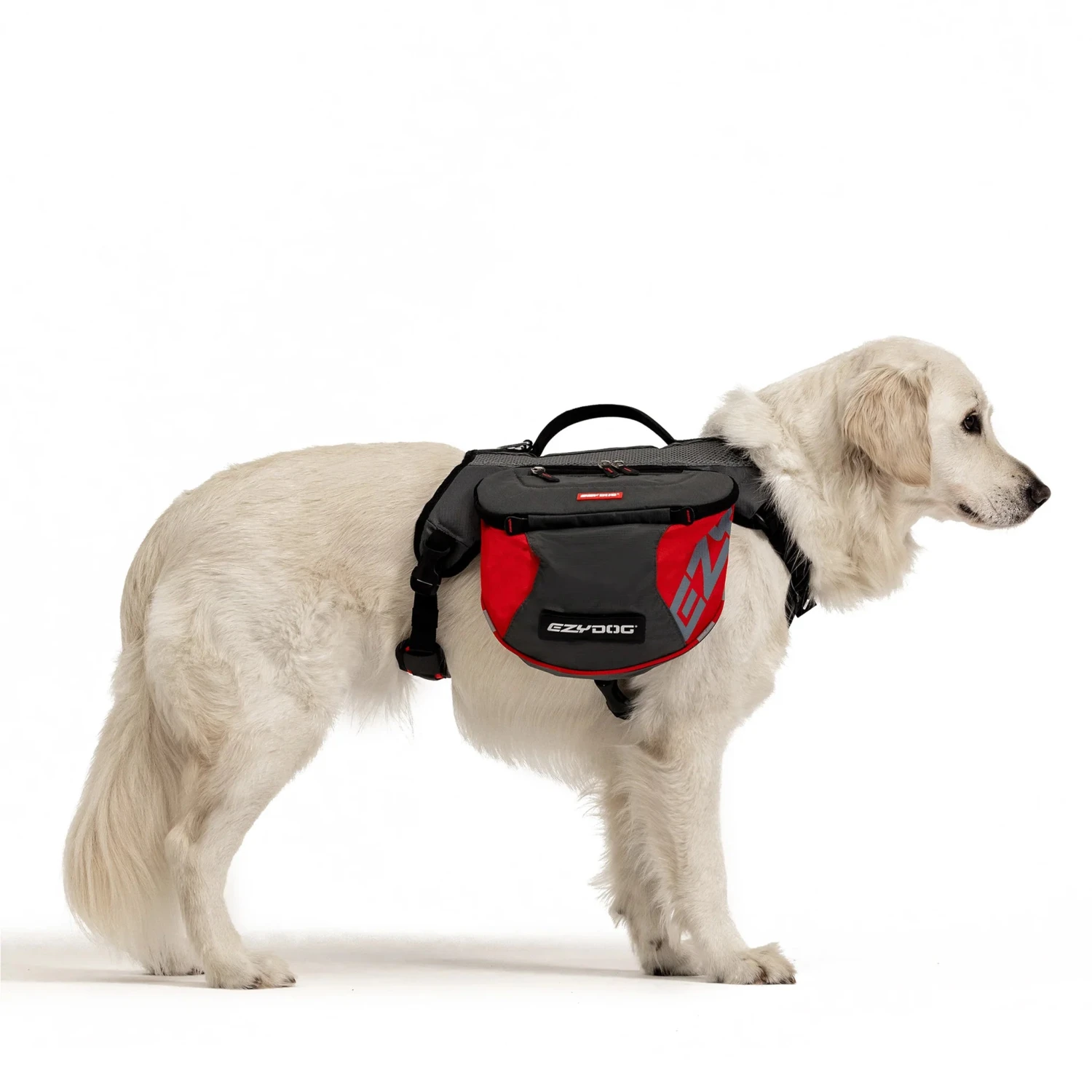 EzyDog Summit Dog Backpack 1 EzyDog Summit Dog Backpack