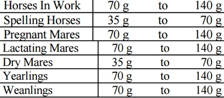 Calciplex Bone & Joint Plus 3kg 2 Calciplex Bone & Joint Plus 3kg - Image 2