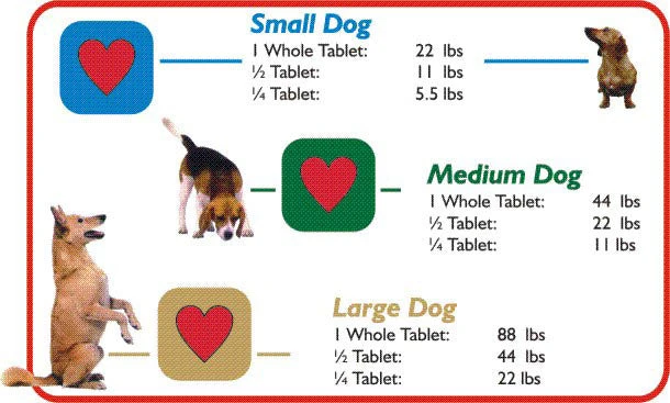 Valuheart Heartworm Tablets For Dogs 5 Valuheart Heartworm Tablets For Dogs - Image 5