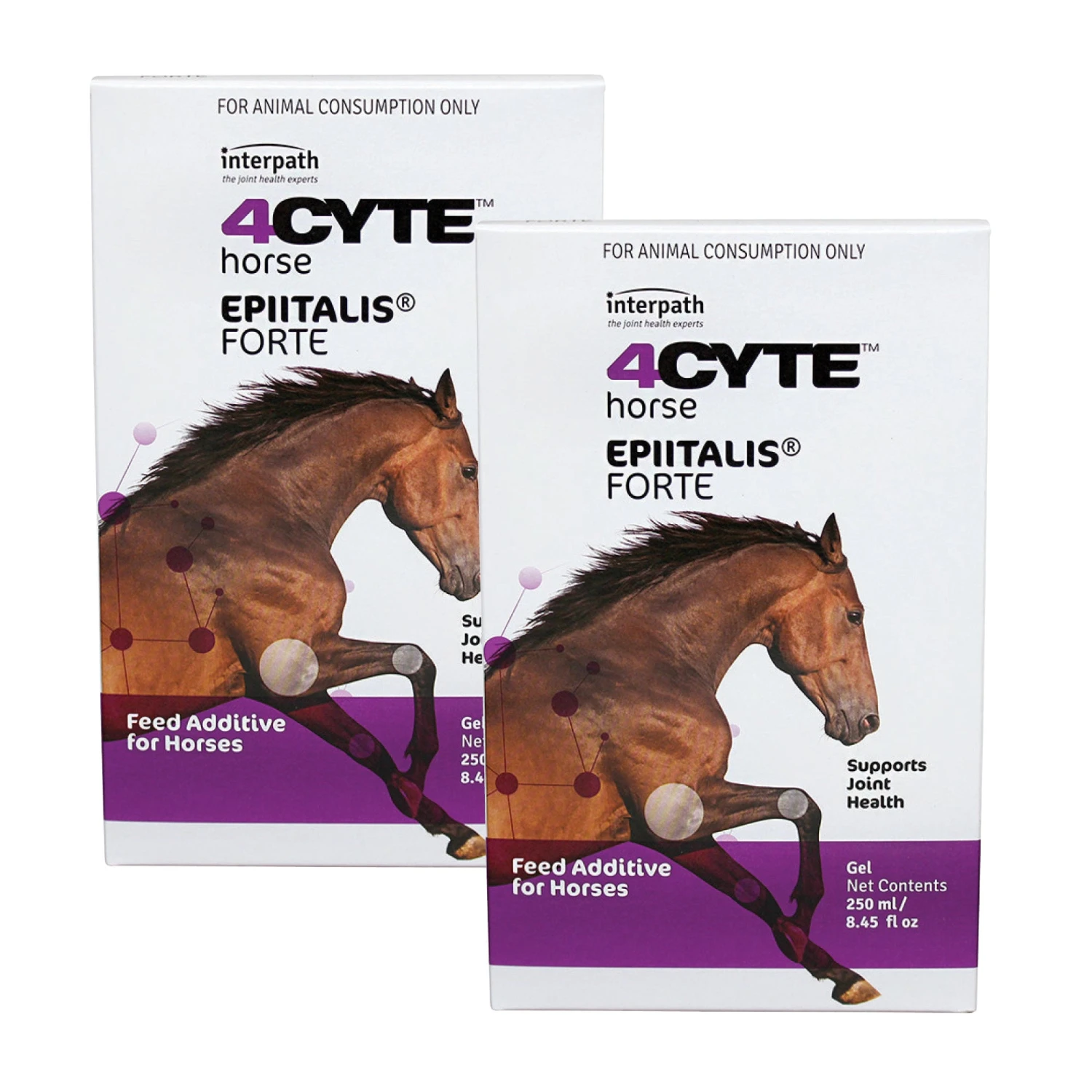 4CYTE Epiitalis Forte Gel Equine Joint Treatment 250mL X 2 Value Bundle 1 4CYTE Epiitalis Forte Gel Equine Joint Treatment 250mL X 2 Value Bundle