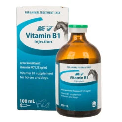 CEVA Vitamin B1 Injection (Nature Vet) 100mL