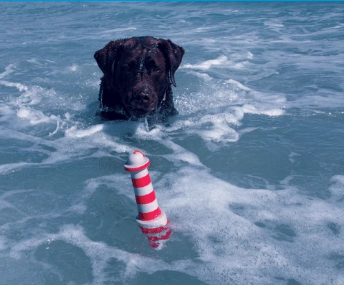 Rogz Floating Lighthouse 3 Rogz Floating Lighthouse - Image 3