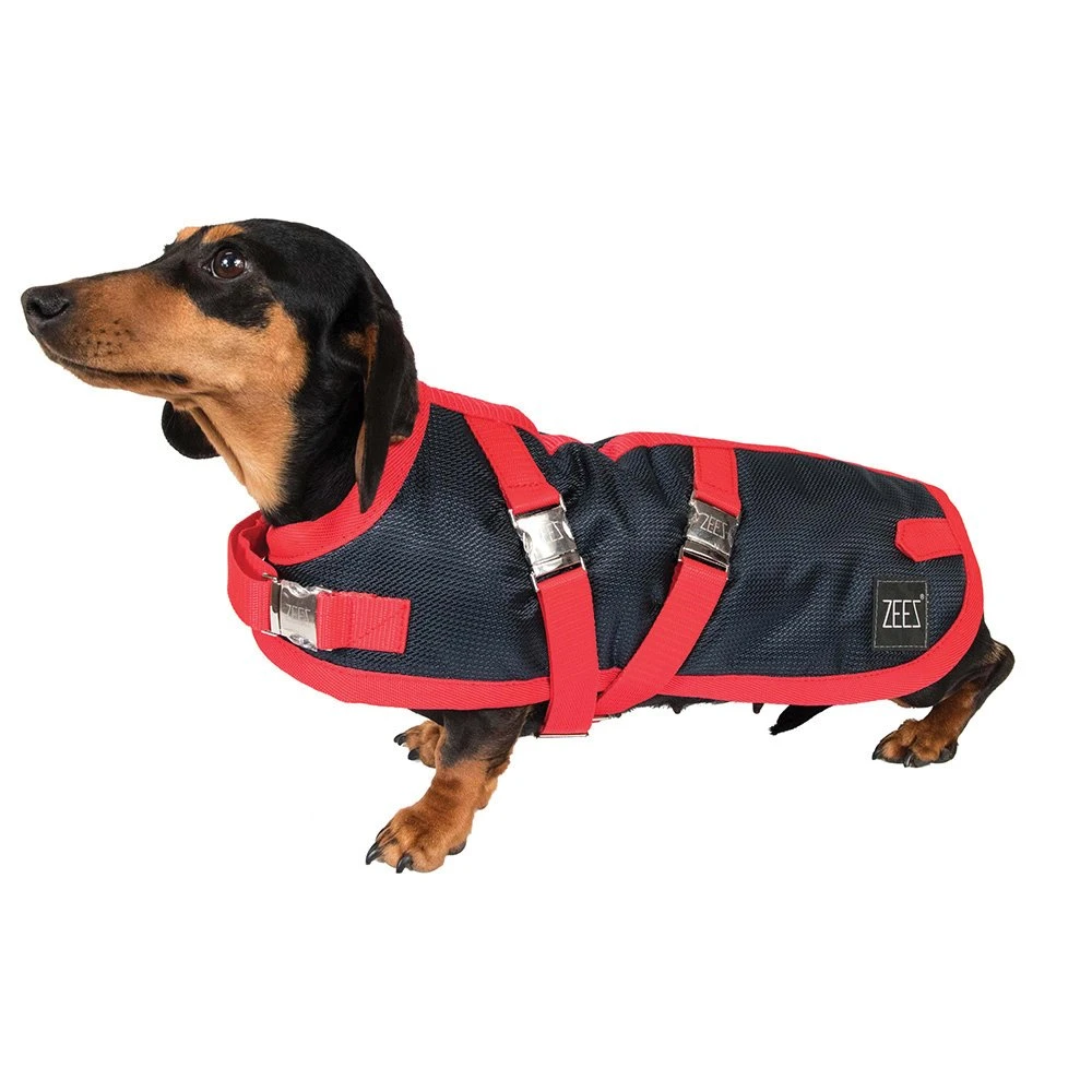 ZeeZ Supreme Dachshund Dog Coat - Navy Stone/Red 1 ZeeZ Supreme Dachshund Dog Coat - Navy Stone/Red