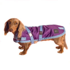 ZeeZ Supreme Dachshund Dog Coat - Grape Purple/Blue
