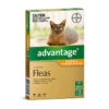 Advantage For Cats & Kittens Up To4kg