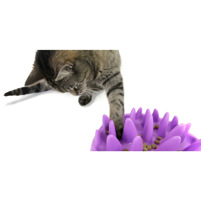 Catch Slow Feeder For Cats 2 Catch Slow Feeder For Cats - Image 2