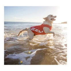 EzyDog Rashie Vest For Dogs 14 EzyDog Rashie Vest For Dogs -Vetn Pet Direct Store 758082