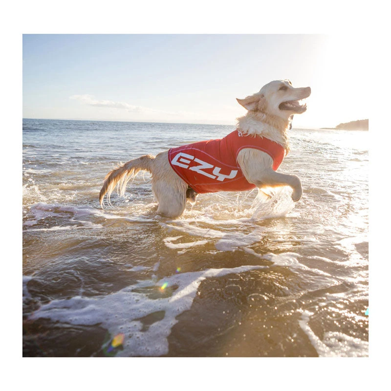 EzyDog Rashie Vest For Dogs 5 EzyDog Rashie Vest For Dogs - Image 5