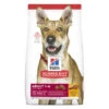 Hill's Science Diet Adult Dry Dog Food