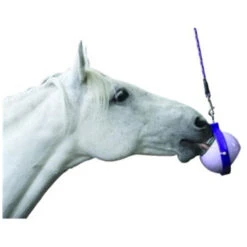 Likit Boredom Buster