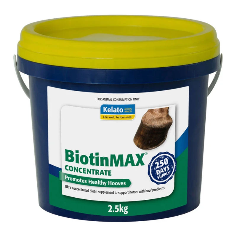 Kelato BiotinMAX Concentrate 2 Kelato BiotinMAX Concentrate - Image 2