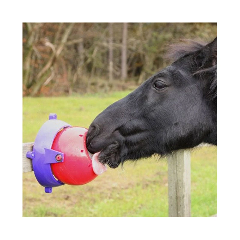 Likit Tongue Twister 1 Likit Tongue Twister