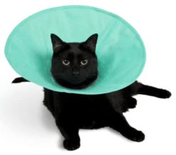 KONG EZ-Soft E Collar For Cats & Small Dogs