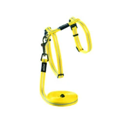 Rogz Alley Cat Harness & Lead -Vetn Pet Direct Store 763760