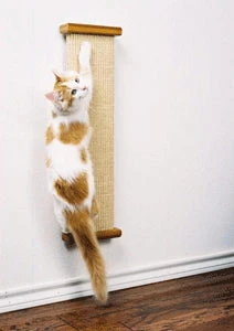 SmartCat Combination Scratcher